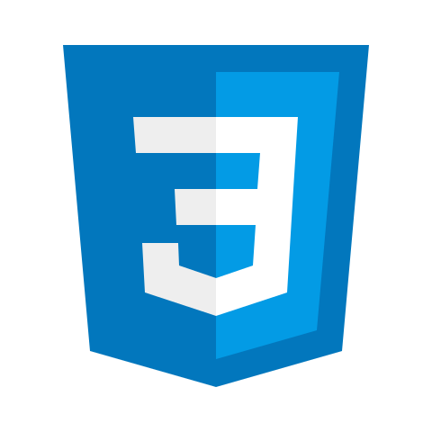 CSS CSS
